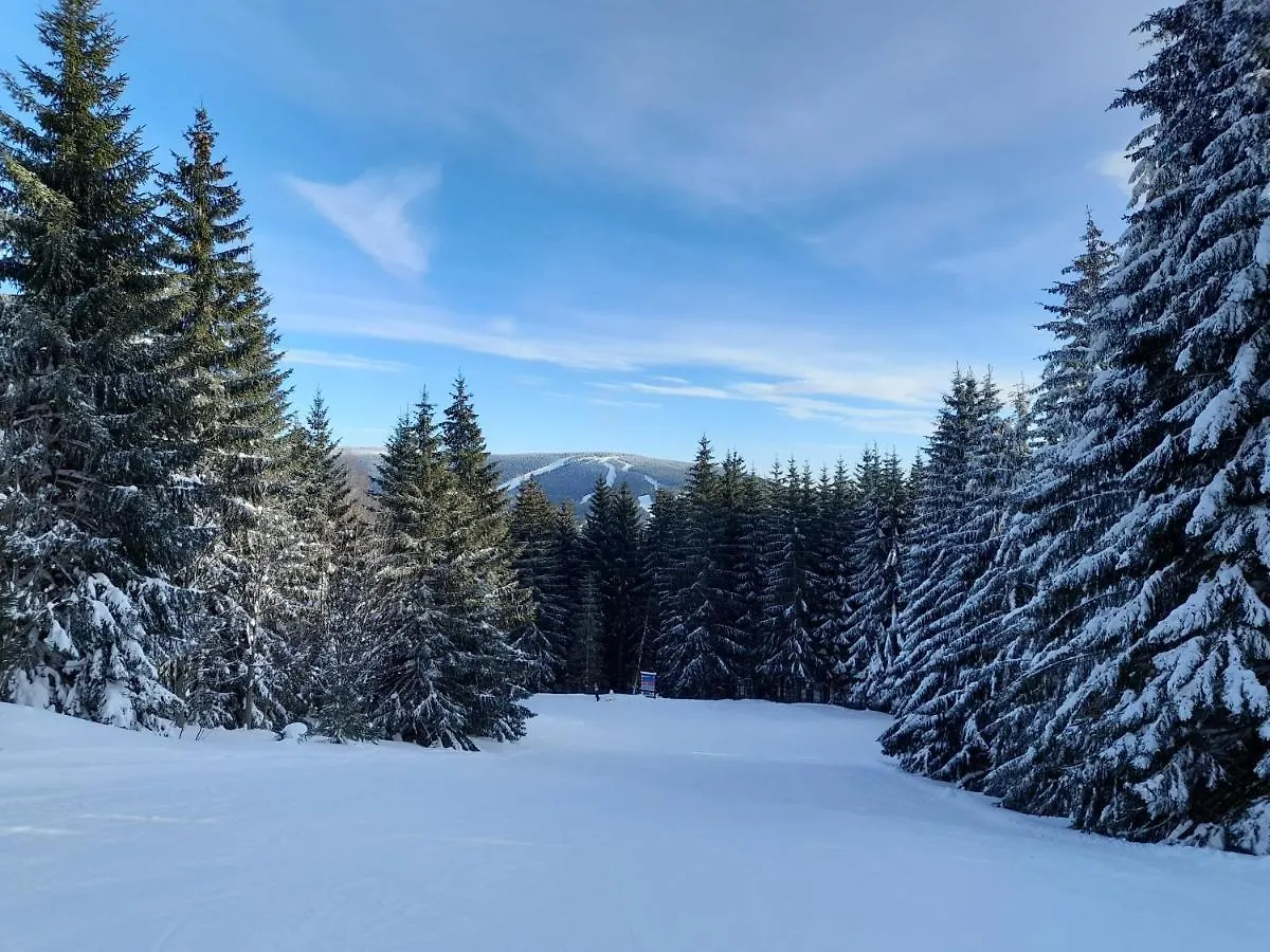 Cozy Apartment In Bedrichov - Špindlerŭv Mlýn